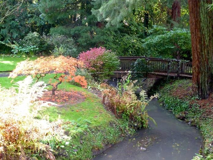 Il giardino giapponese: un
